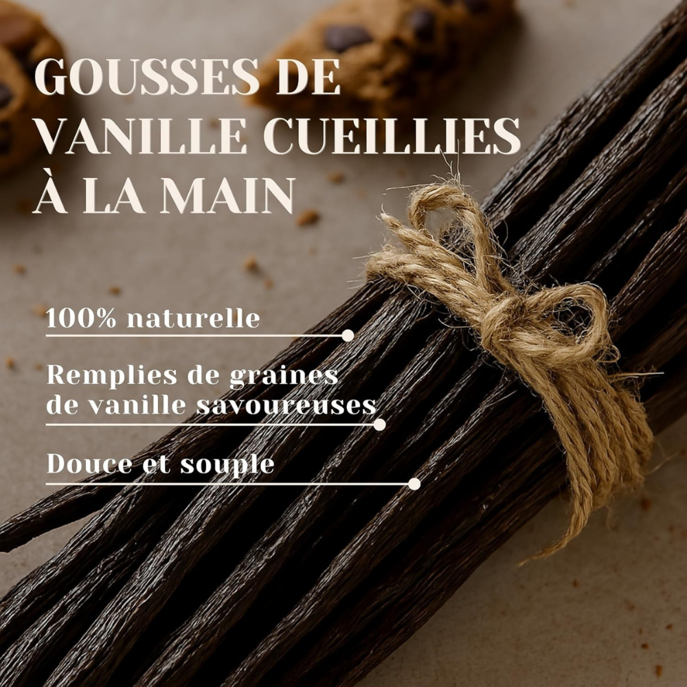 Gousses de Vanille Bourbon Qualité Gourmet 16-18cm