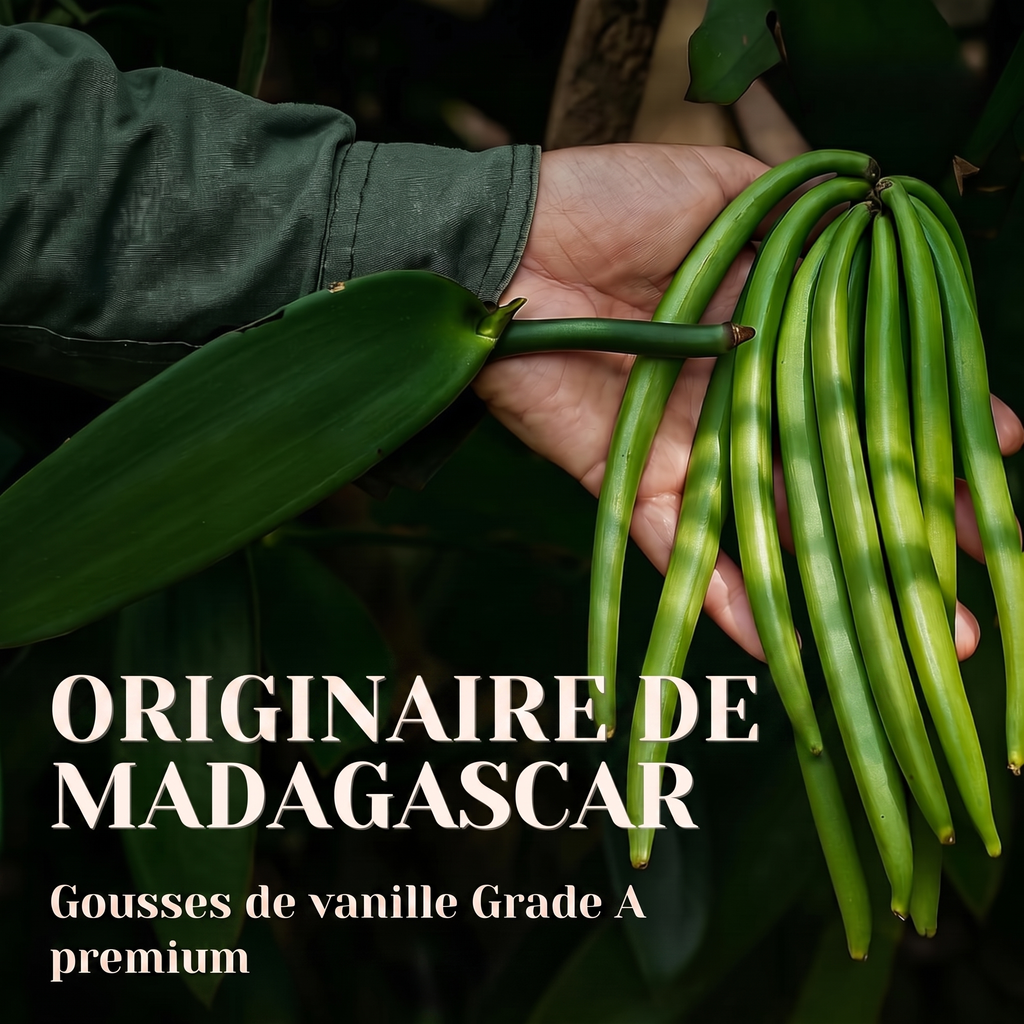 Caviar de Vanille Bourbon 100% Graines de Madagascar