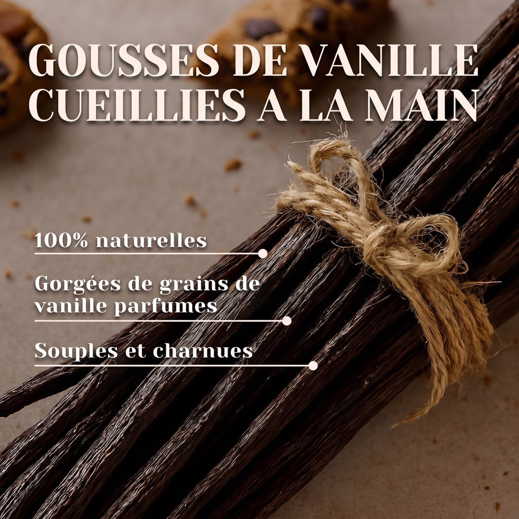 Poudre de Vanille Madagascar